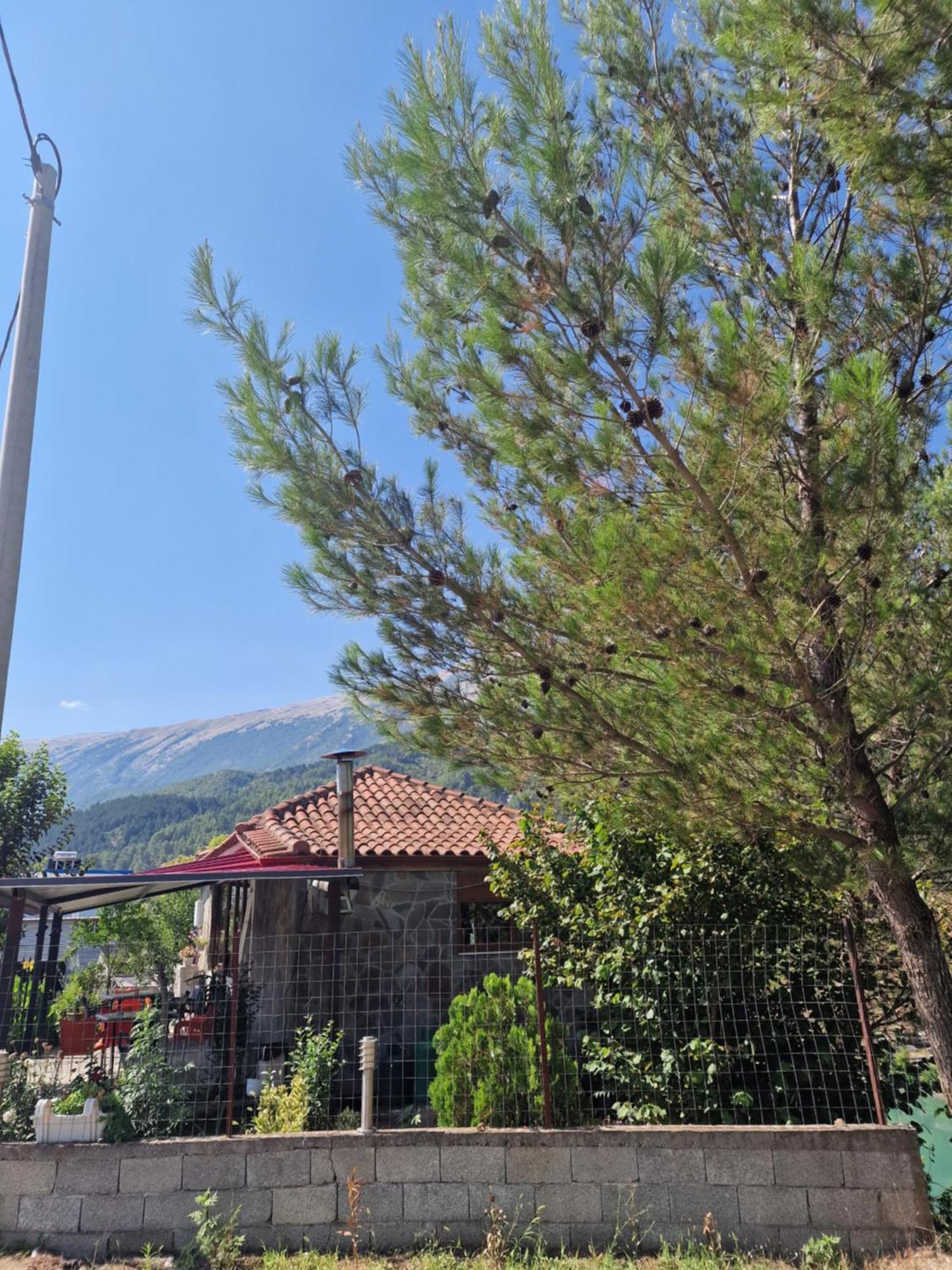 Guest House Krishen Përmet Exteriér fotografie